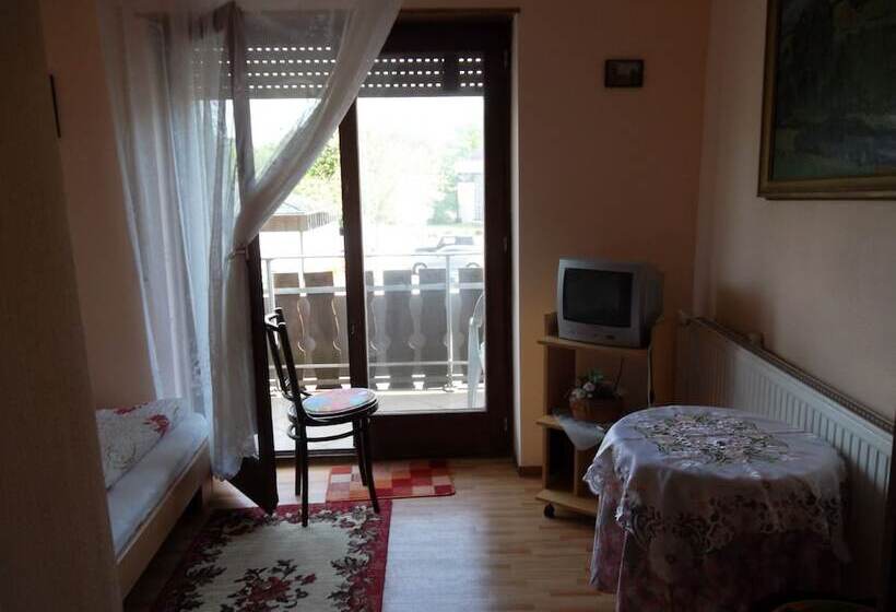 اتاق استاندارد یک نفره, Mainzer Rad