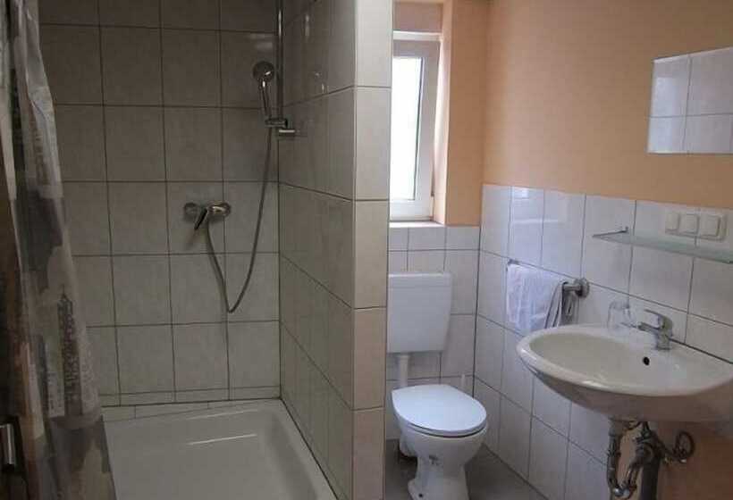 اتاق استاندارد, Mainzer Rad