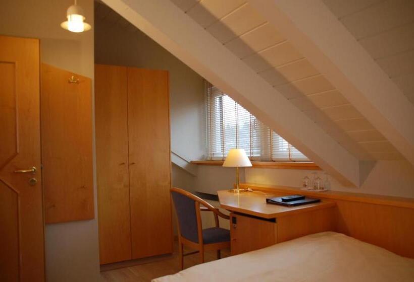 Single Deluxe Room, Sport Schonblick