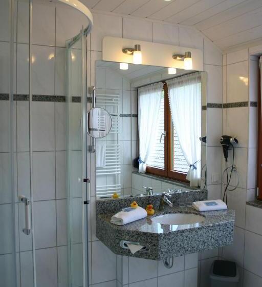 اتاق استاندارد, Landhotel Salmen