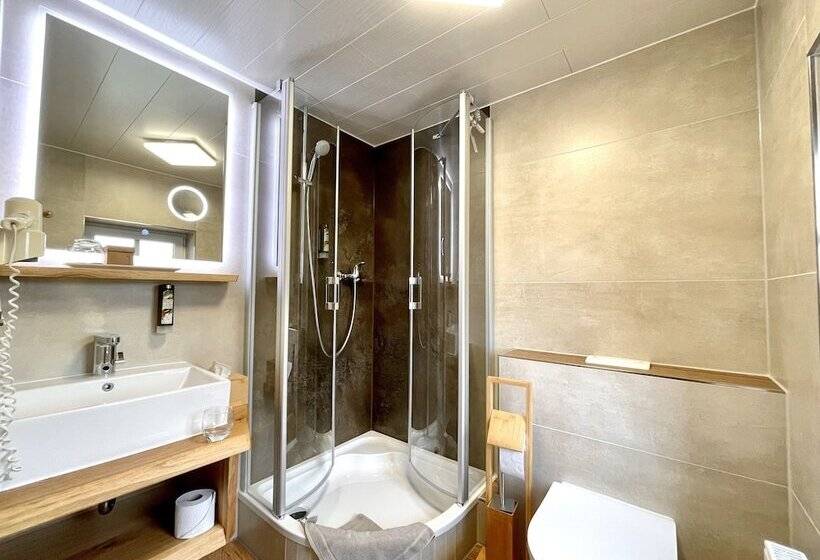 اتاق استاندارد یک نفره, Naturhotel Gasthof Bärenfels