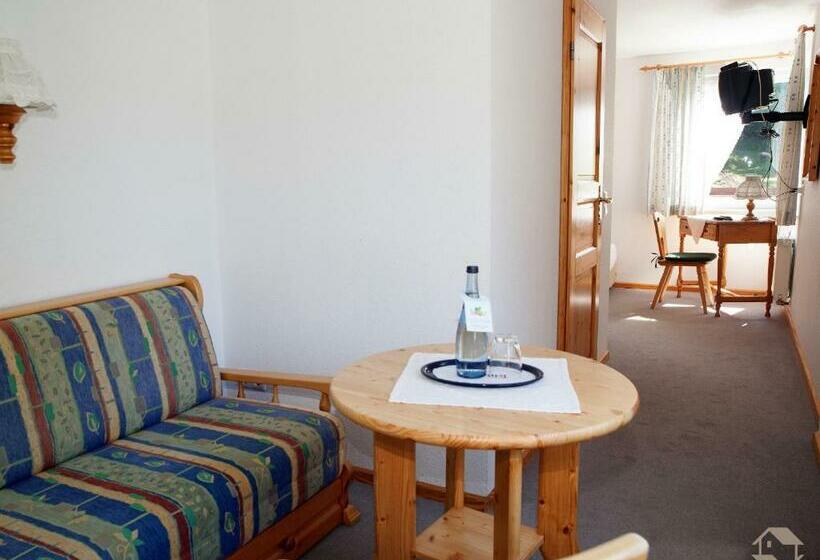 اتاق استاندارد یک نفره, Landgasthaus Kurz Hotel & Restaurant Am Feldberg   Schwarzwald