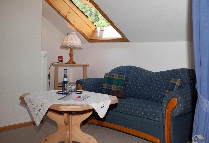اتاق سوپریور, Landgasthaus Kurz Hotel & Restaurant Am Feldberg   Schwarzwald