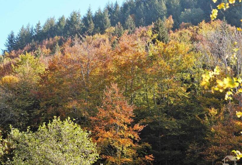 آپارتمان 1 خوابه, Landgasthaus Kurz Hotel & Restaurant Am Feldberg   Schwarzwald