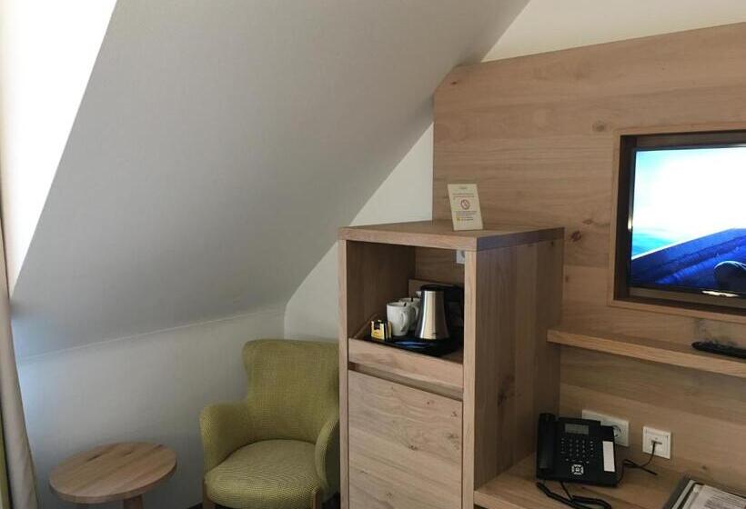 اتاق استاندارد, Villa Benz Hotel Garni