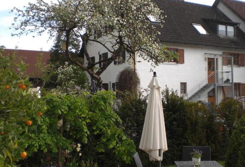 スタンダードシングルルーム, Villa Rosa