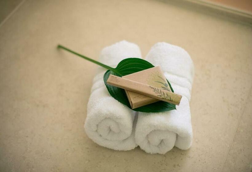 اتاق استاندارد یک نفره, Bio Thermalhotel Falkenhof