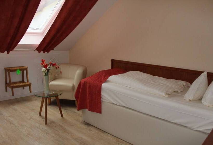 اتاق استاندارد یک نفره, Aradorcity