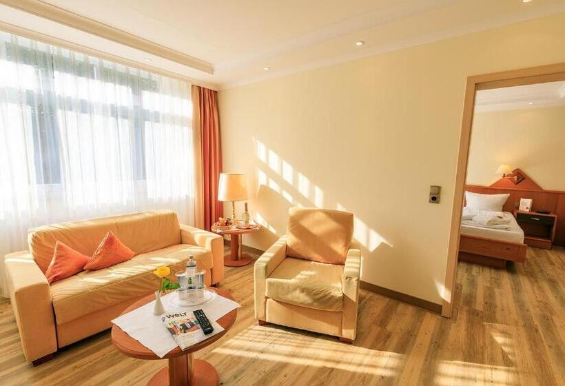 Студия Стандарт, Thermenhotel Sonnenhof