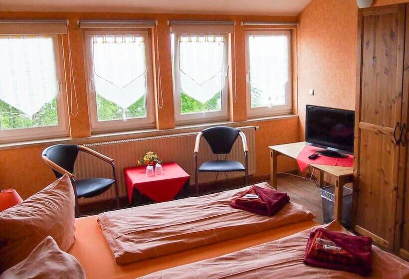 اتاق اکونومی, Pension Haus Saarland