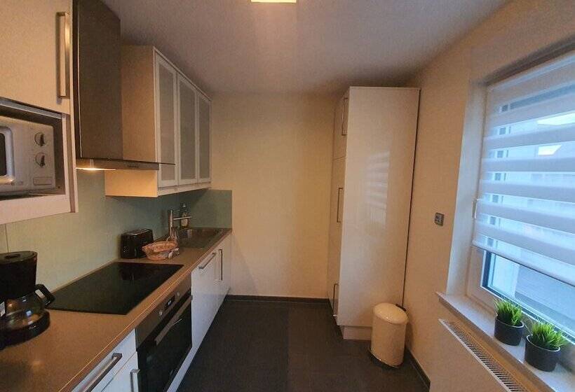 Apartament cu 1 dormitor parter, Reinhardshäusle Pension & Wellness