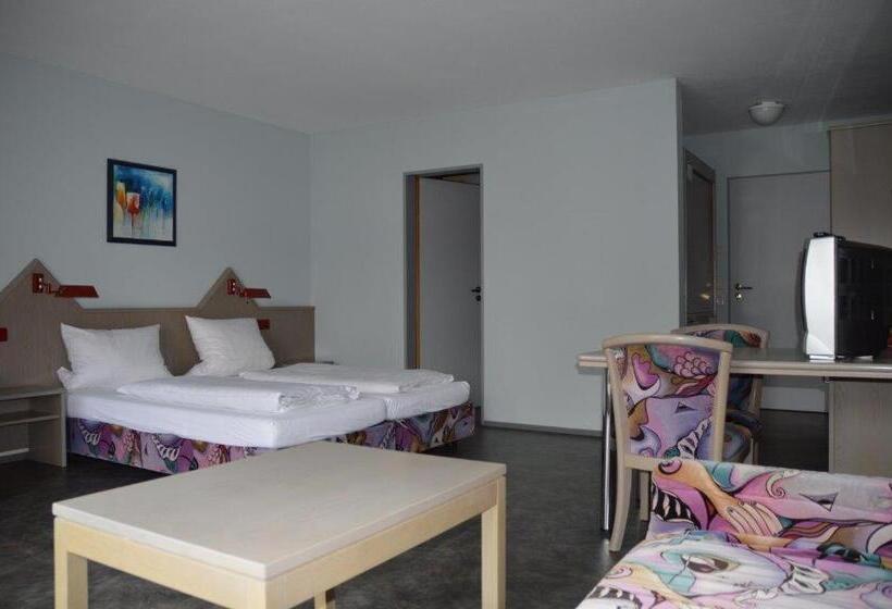 اتاق استاندارد یک نفره, Gästehaus Linde, Hotel Garni