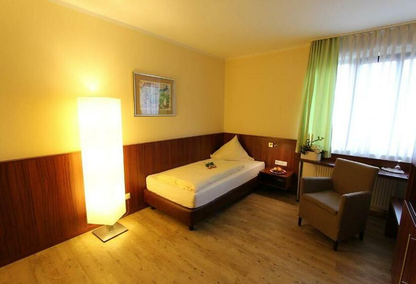 اتاق استاندارد یک نفره, Akzent Hotel Jonathan