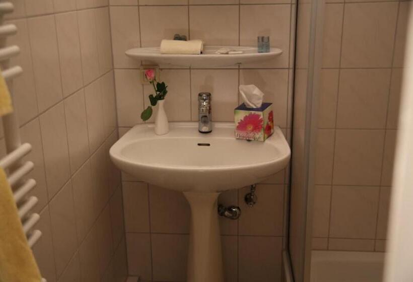 Standard Single Room, Garni Kaiserpfalz