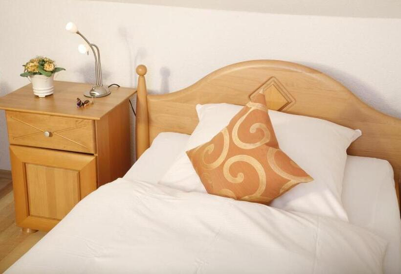 اتاق استاندارد یک نفره, Rixbecker Alpen   Hotel Koch