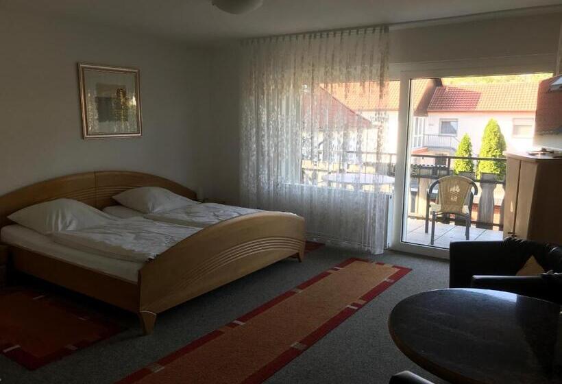 اتاق استاندارد, Rixbecker Alpen   Hotel Koch