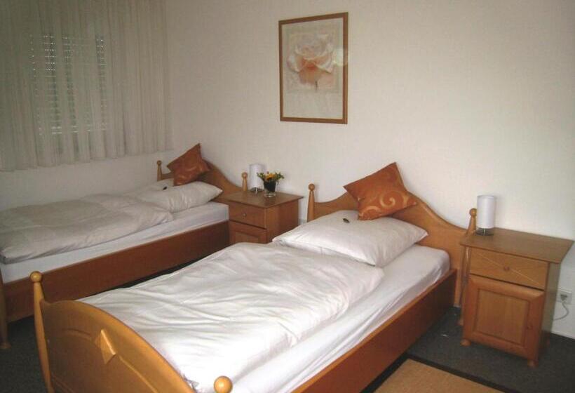 اتاق استاندارد, Rixbecker Alpen   Hotel Koch