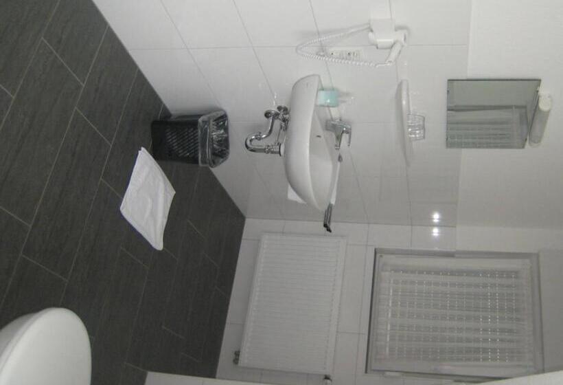اتاق استاندارد, Rixbecker Alpen   Hotel Koch