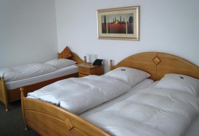 اتاق استاندارد سه نفره, Rixbecker Alpen   Hotel Koch