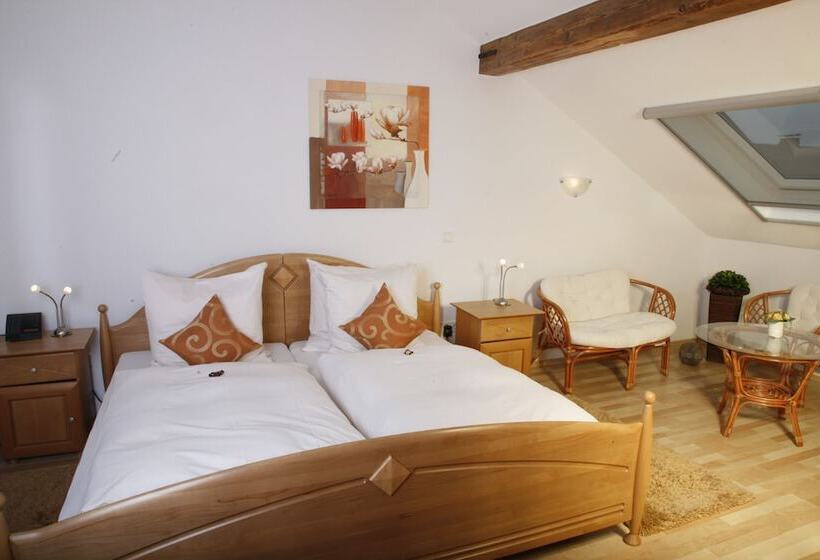 اتاق استاندارد, Rixbecker Alpen   Hotel Koch