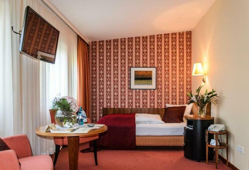 اتاق استاندارد یک نفره, Akzent Hotel Goldner Hirsch