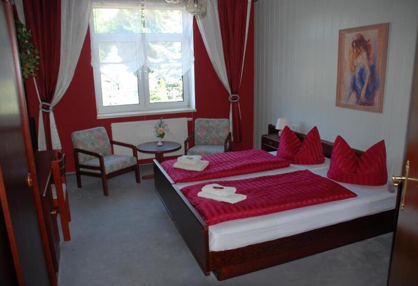 اتاق استاندارد, Gasthof Und Pension Frankenthal   Garni
