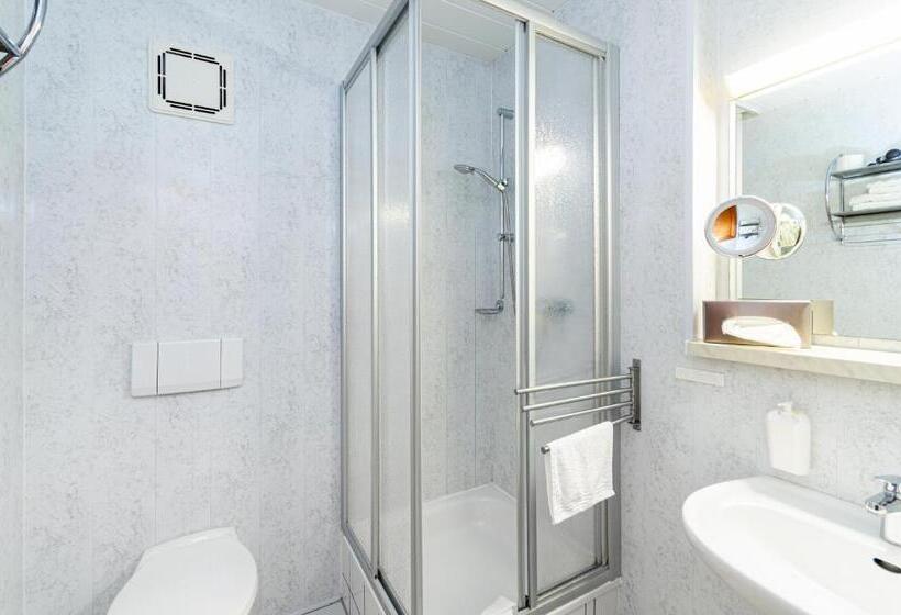 اتاق استاندارد یک نفره, Gasthof Und Pension Frankenthal   Garni
