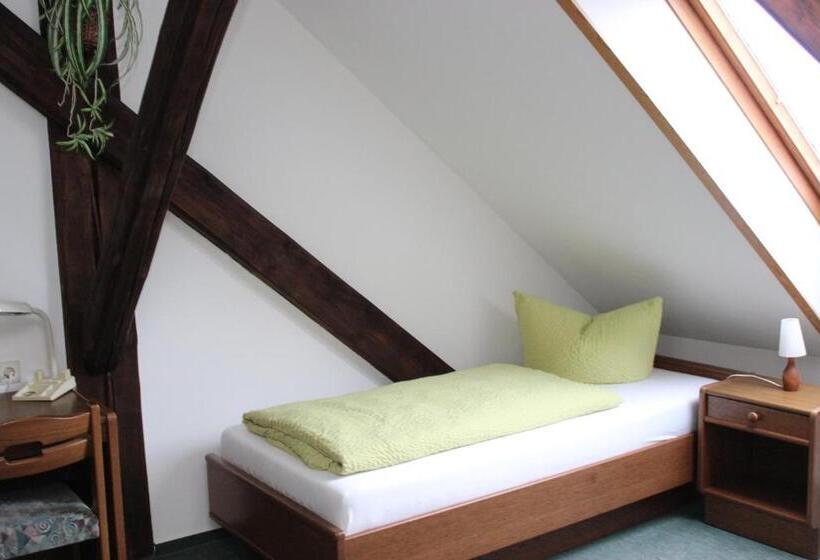 اتاق استاندارد یک نفره, Gasthof Und Pension Frankenthal   Garni