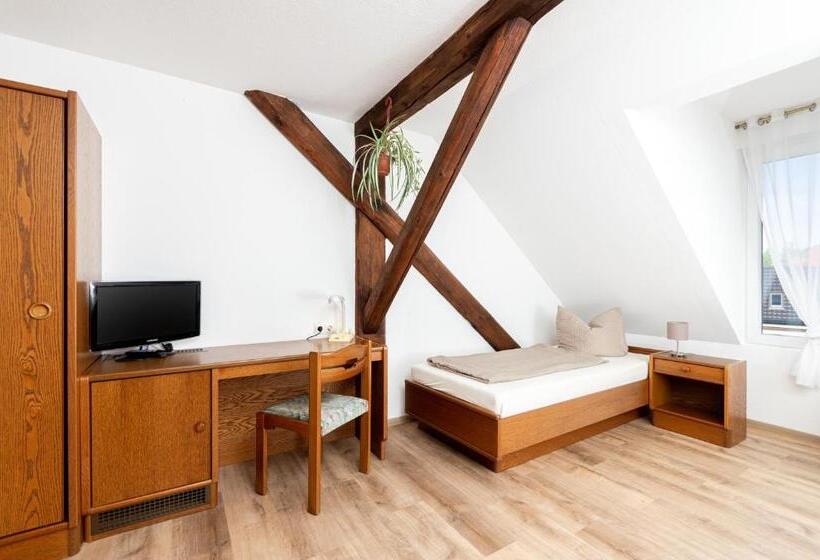 اتاق استاندارد یک نفره, Gasthof Und Pension Frankenthal   Garni
