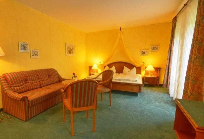اتاق کلاسیک, Meister Bär Hotel Vogtland