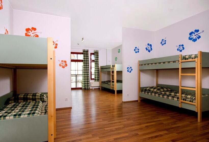 تختخواب در اتاق مشترک, Sleepy Lion Hostel & Apartments Leipzig