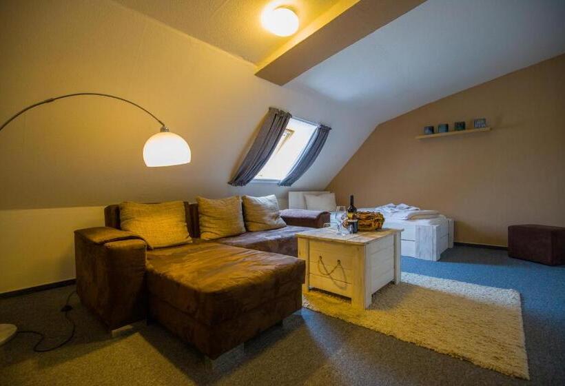 带1个卧室的豪华公寓, Stadthotel Garni Smutje