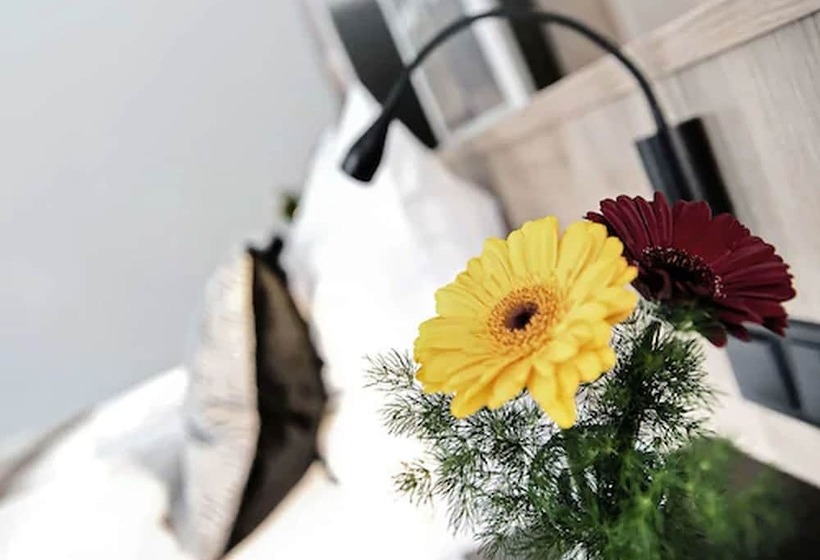 اتاق استاندارد یک نفره, Alexxanders Hotel & Boardinghouse, Restaurant