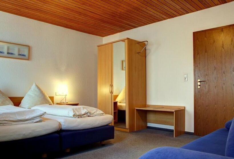 اتاق استاندارد, Gasthof Traube