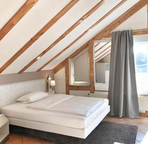 اتاق استاندارد یک نفره, Aparthotel Wettenberg