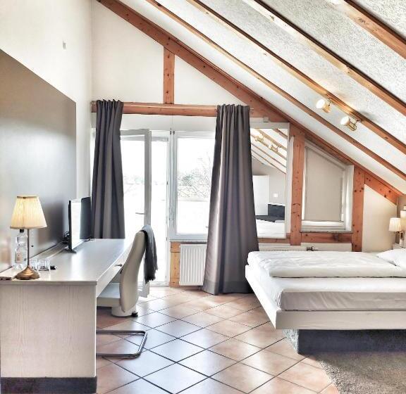 اتاق استاندارد, Aparthotel Wettenberg