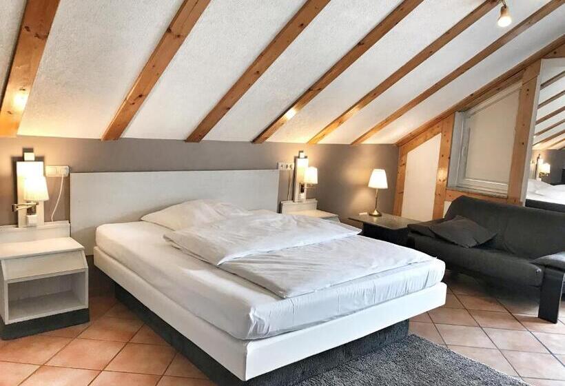 اتاق استاندارد, Aparthotel Wettenberg