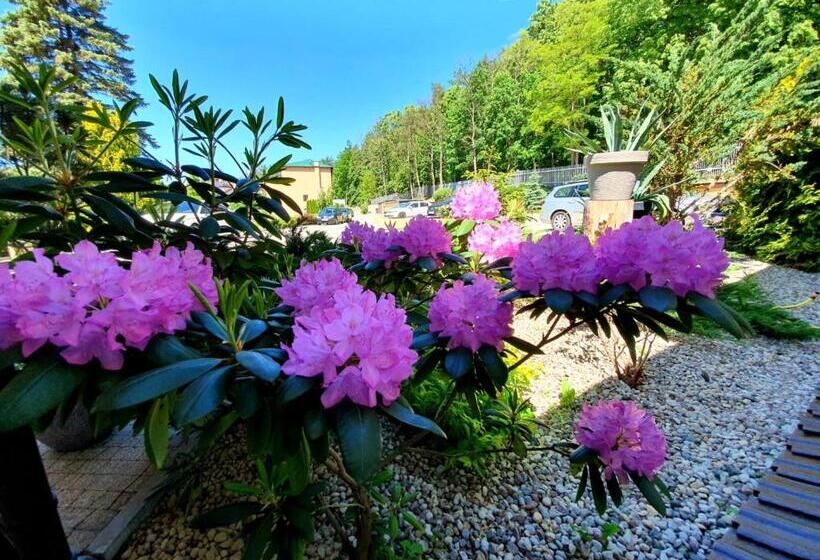 Standardzimmer mit Seeblick, Mazuria Country & Spa