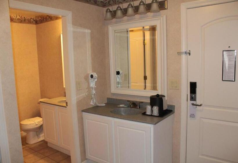 اتاق لوکس با تخت بزرگ, Shiretown Inn & Suites