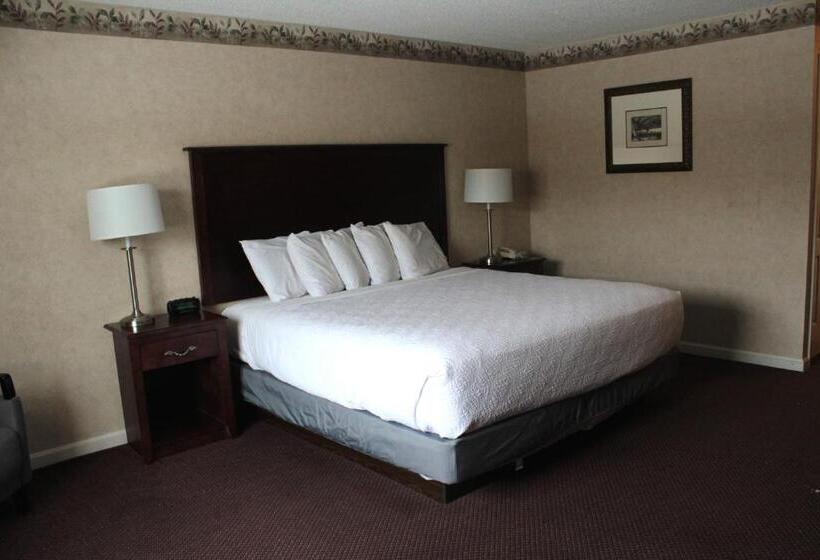 اتاق لوکس با تخت بزرگ, Shiretown Inn & Suites
