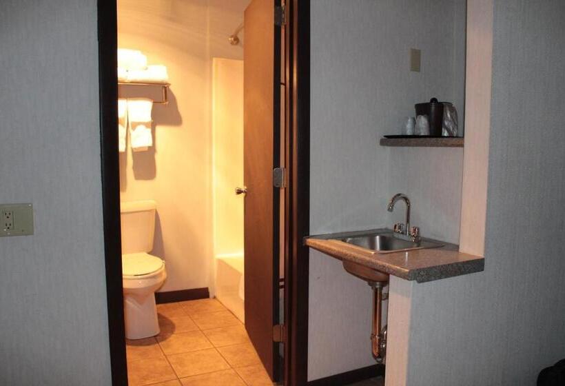 اتاق سوپریور با تخت بزرگ, Shiretown Inn & Suites