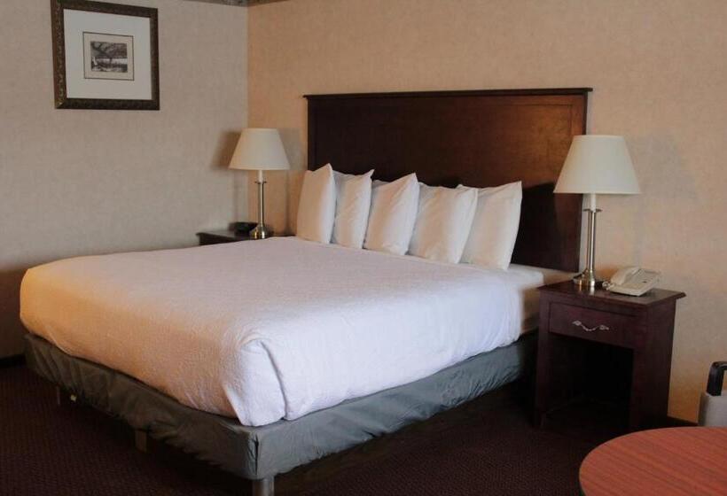 اتاق سوپریور با تخت بزرگ, Shiretown Inn & Suites
