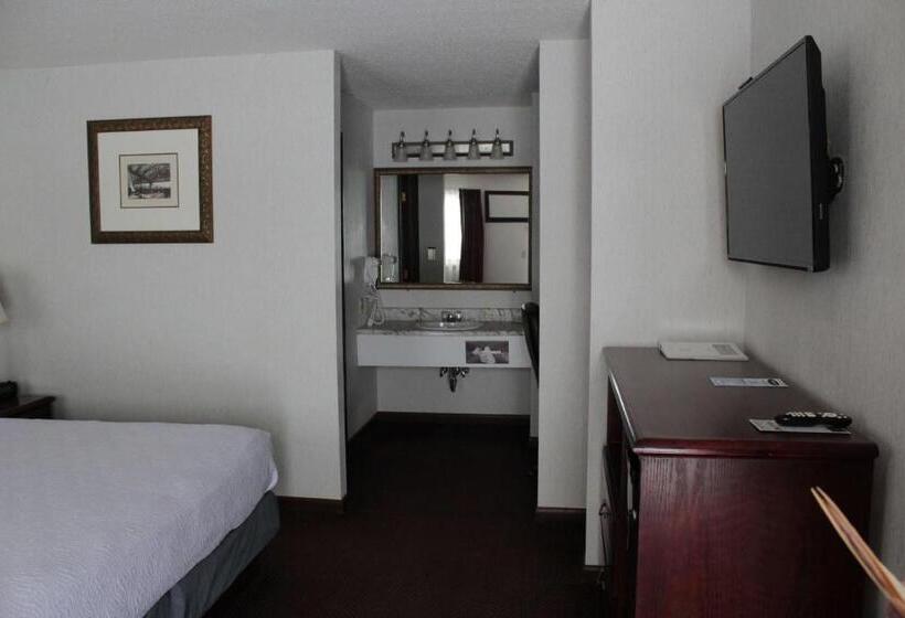 اتاق استاندارد با تخت بزرگ, Shiretown Inn & Suites