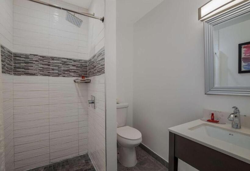 اتاق استاندارد با 2 تخت دوبل, Sunset West Hotel, Surestay Collection By Best Western