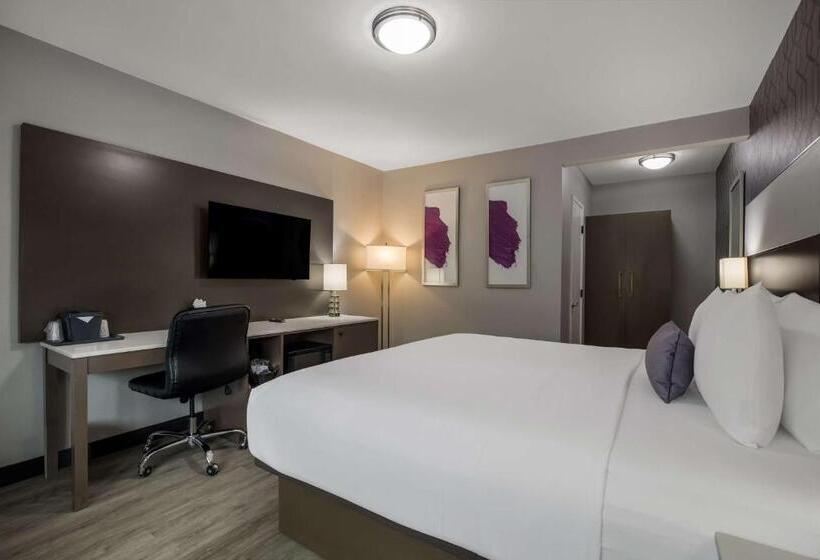 اتاق استاندارد با تخت بزرگ, Sunset West Hotel, Surestay Collection By Best Western