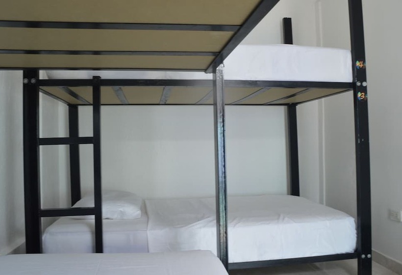 تختخواب در اتاق مشترک, Akualink Hostel