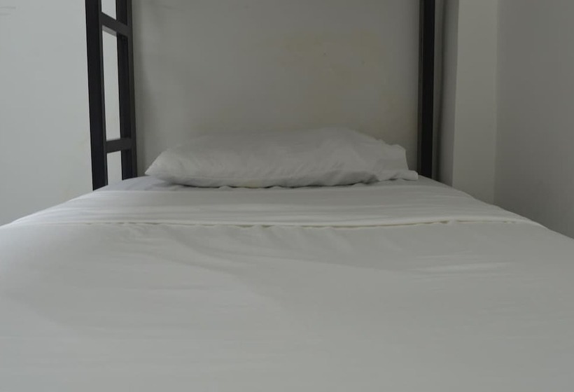Bed in Shared Room with Shared Bathroom, Akualink Hostel