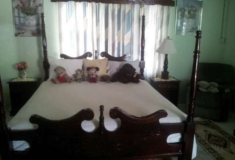 اتاق استاندارد با تخت دوبل, Suzette's Homestay
