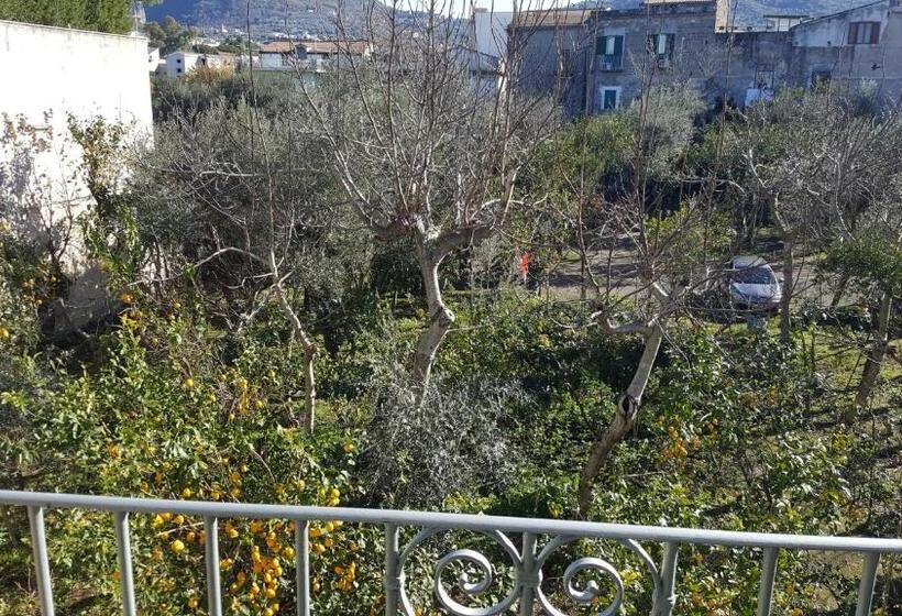 اتاق خانوادگی, Domus San Vincenzo