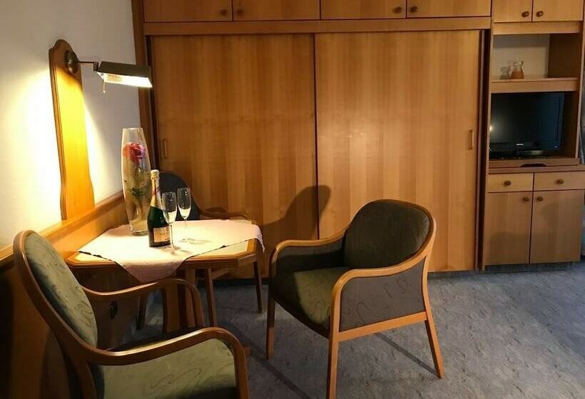 اتاق سوپریور یک تخته, Appartementhotel Cura Bad Füssing